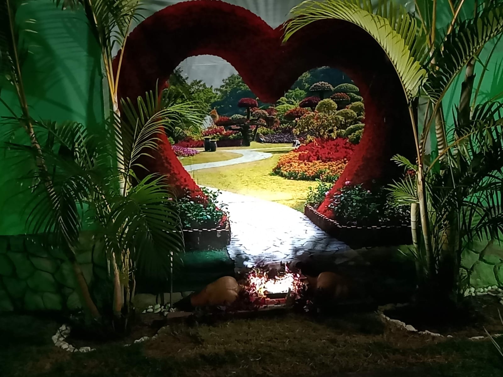 Descrição da foto 21